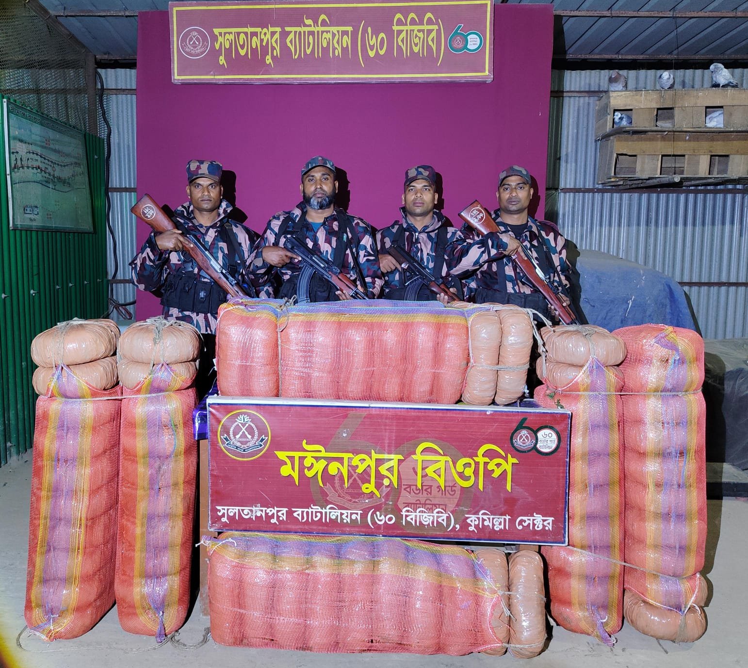 কসবায় বিজিবির অভিযানে ১৪০ কেজি ভারতীয় গাঁজা জব্দ।